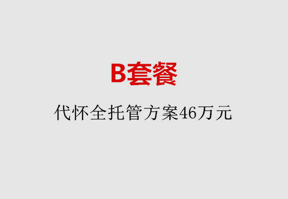 重庆B套餐：代怀全托管方案46万元